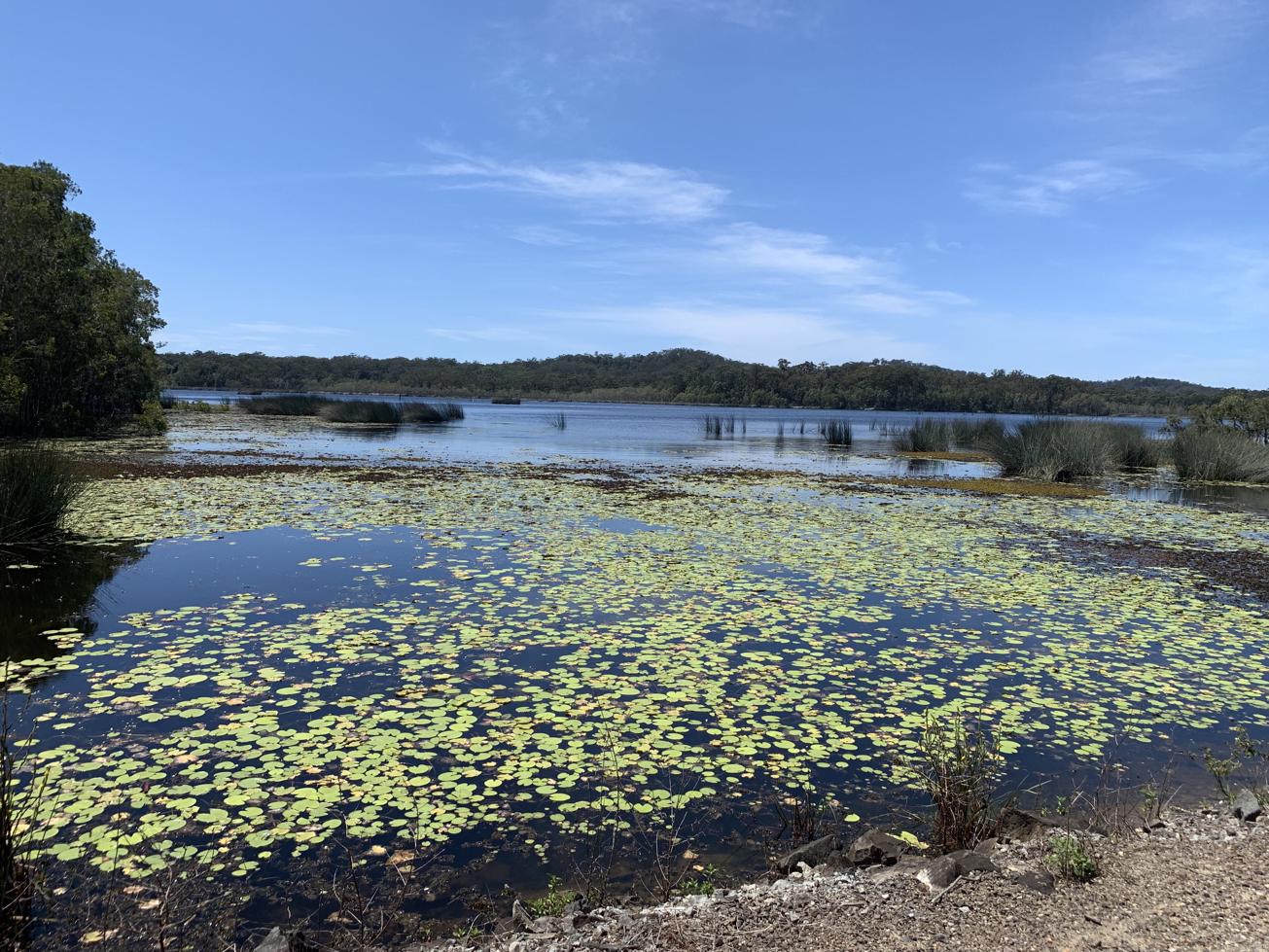 Ewen Maddock Dam Main Track Adventure Sunshine Coast